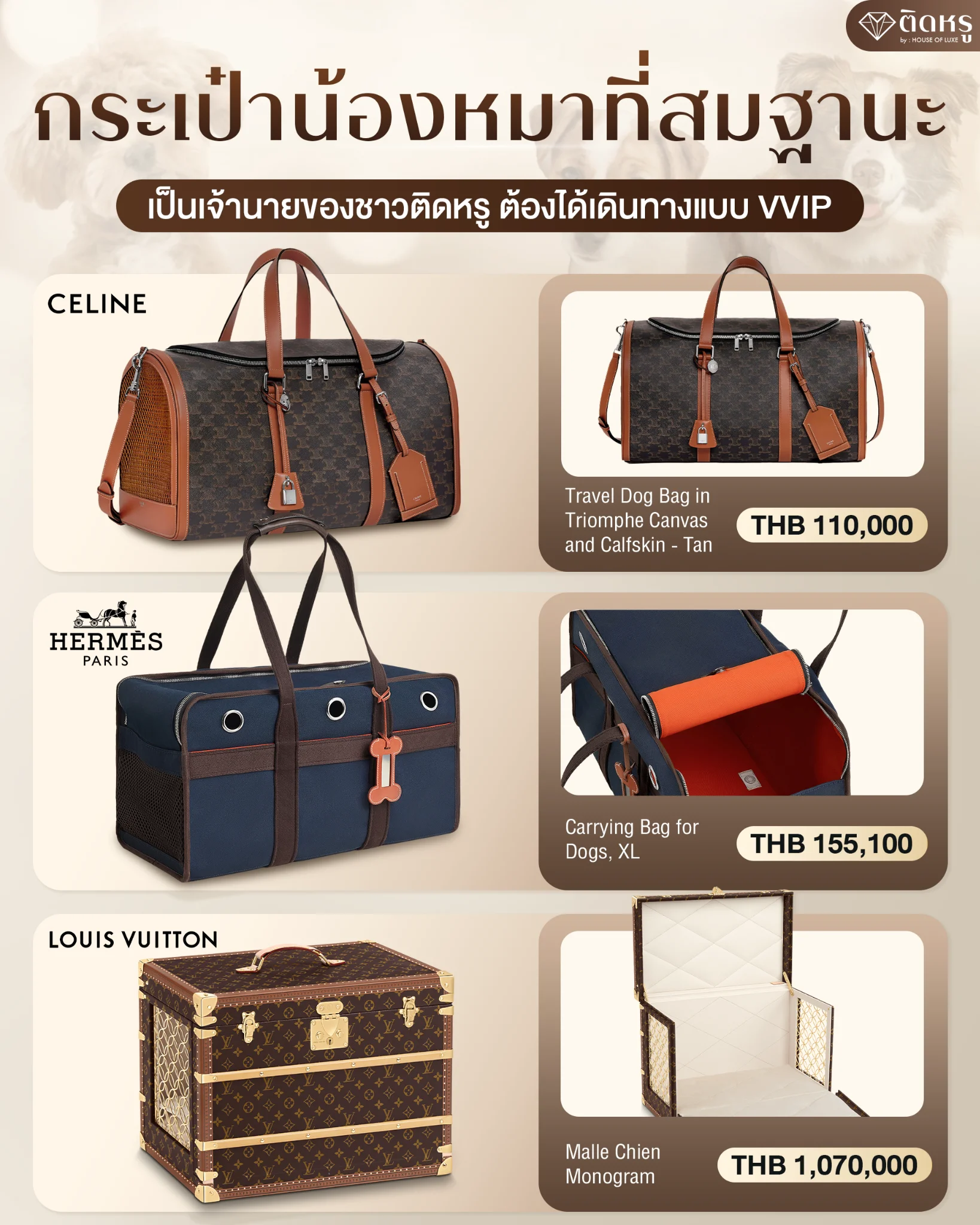 High-end pet fashion: VVIP dogs traveling in designer carriers